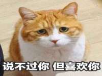 九台区九台龙喜网络技术服务中心