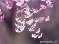 九台区九台龙喜网络技术服务中心