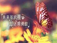 九台区九台龙喜网络技术服务中心