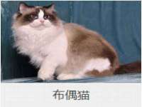 九台区九台龙喜网络技术服务中心