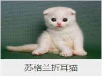 九台区九台龙喜网络技术服务中心
