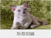 九台区九台龙喜网络技术服务中心