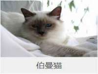 九台区九台龙喜网络技术服务中心