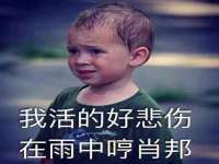 九台区九台龙喜网络技术服务中心
