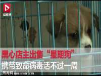 九台区九台龙喜网络技术服务中心