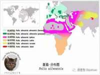 九台区九台龙喜网络技术服务中心