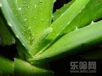 九台区九台龙喜网络技术服务中心