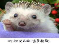 九台区九台龙喜网络技术服务中心