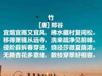 九台区九台龙喜网络技术服务中心