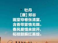 九台区九台龙喜网络技术服务中心