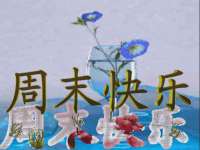 九台区九台龙喜网络技术服务中心