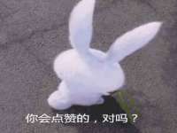 九台区九台龙喜网络技术服务中心