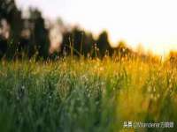 九台区九台龙喜网络技术服务中心