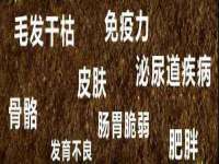 九台区九台龙喜网络技术服务中心