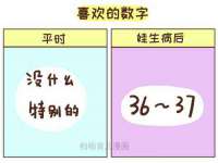九台区九台龙喜网络技术服务中心
