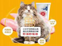 九台区九台龙喜网络技术服务中心