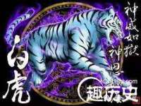 九台区九台龙喜网络技术服务中心