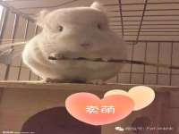 九台区九台龙喜网络技术服务中心