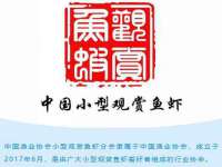 九台区九台龙喜网络技术服务中心