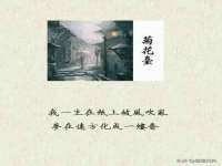 九台区九台龙喜网络技术服务中心