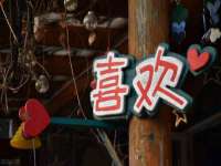 九台区九台龙喜网络技术服务中心