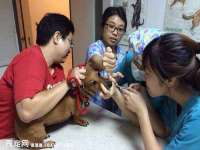 九台区九台龙喜网络技术服务中心
