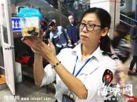 九台区九台龙喜网络技术服务中心
