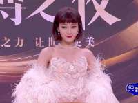 九台区九台龙喜网络技术服务中心