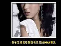 九台区九台龙喜网络技术服务中心