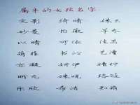 九台区九台龙喜网络技术服务中心